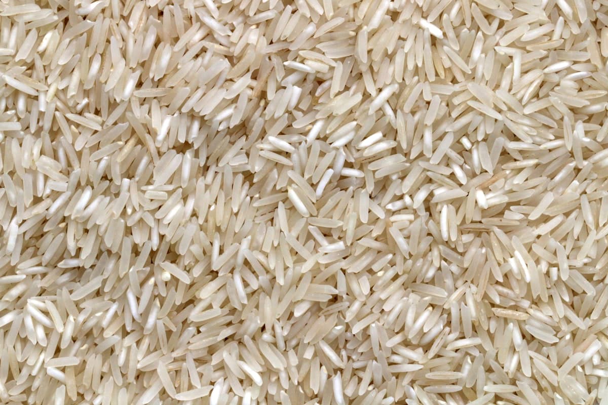 Premium Pakistani basmati rice grains